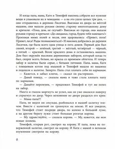 Фаня, Апельсин и четверо из города