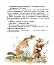 Load image into Gallery viewer, Приключения Хомы