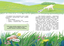 Load image into Gallery viewer, В долине ударений